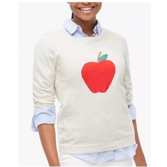 J.Crew factory teddy teacher Apple Design gray Sweater nwt sz M - Picture 1 of 13